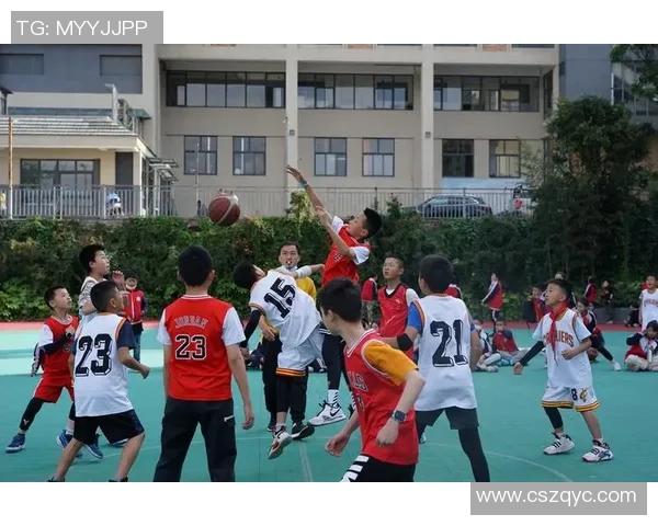 张静篮球生涯回顾与展望对话分享运动精神与成长故事